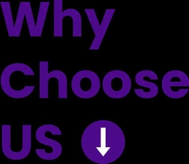 Why Choose Us